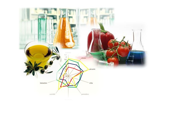 Laboratorio di Analisi Merceologiche e Territoriale