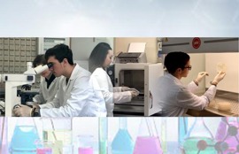 Laboratorio V.A.L.U.E.